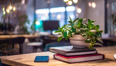 Empowering sustainability: 12 key learning themes for the future-ready professional